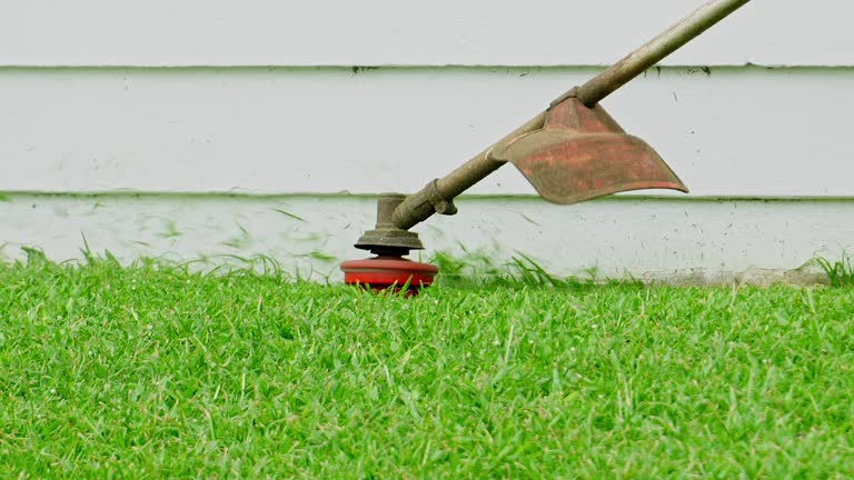 Best Lawn Drainage Solutions  in Littlefield, TX